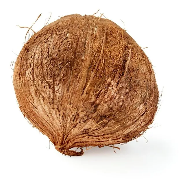 Whole Coconut
