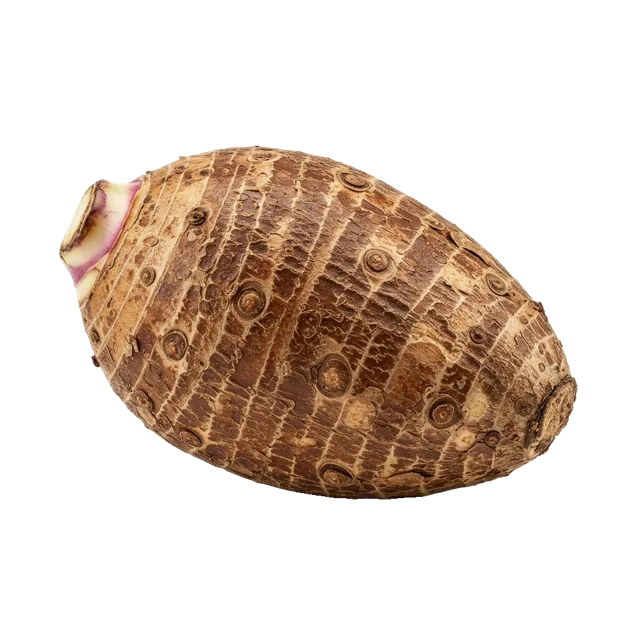 Malanga