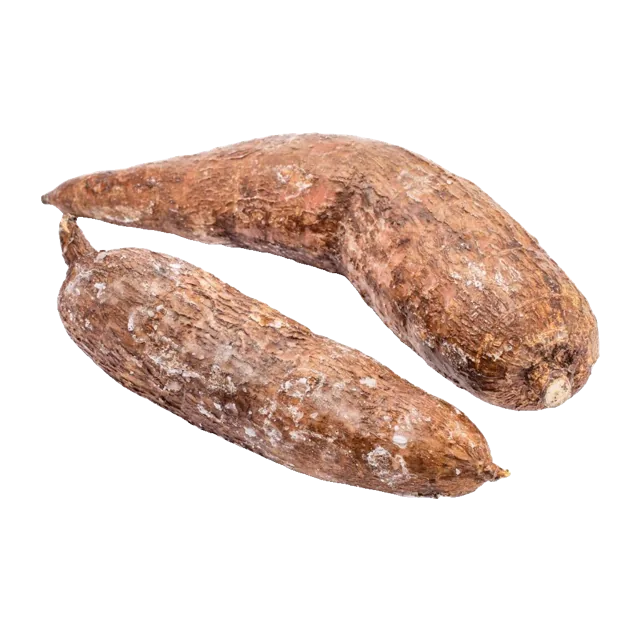 Yuca (Cassava)