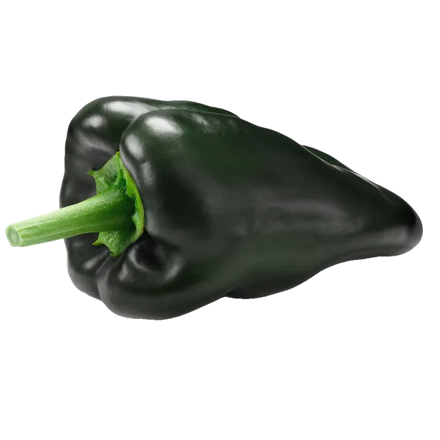 Poblano Peppers