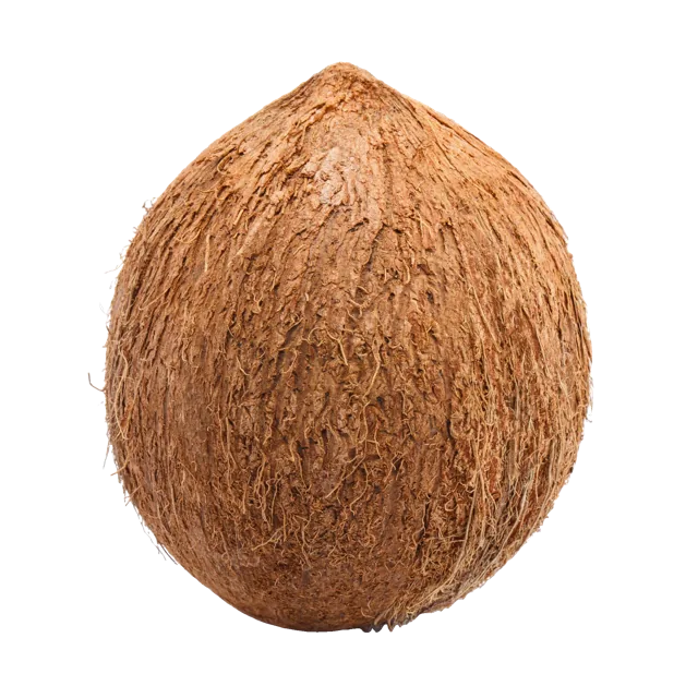 Coconut