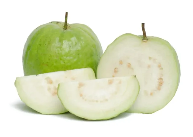Large Guava
