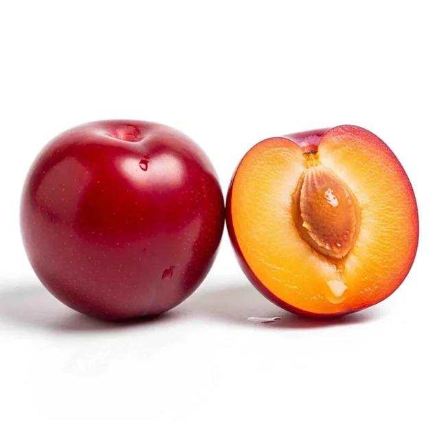 Red Plums