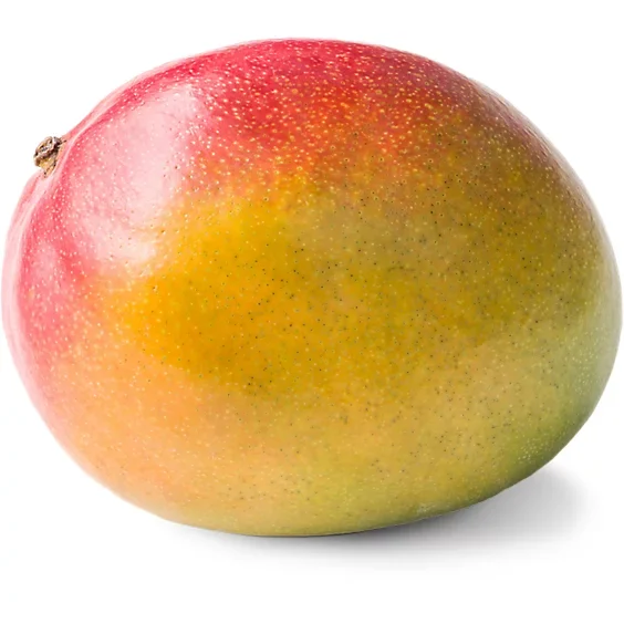 Tommy Mango