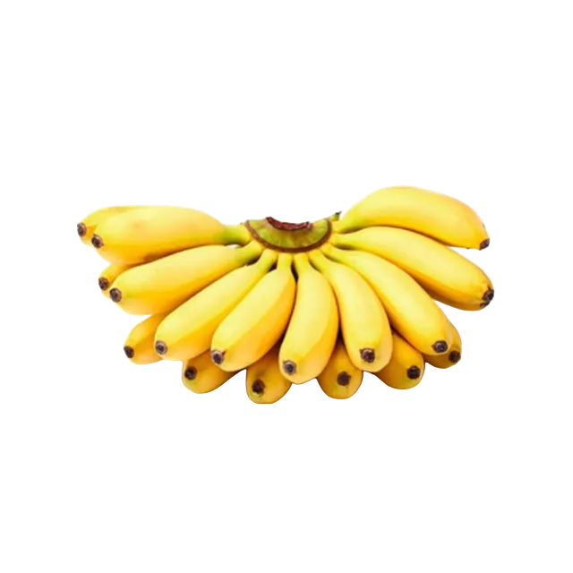 Baby Bananas