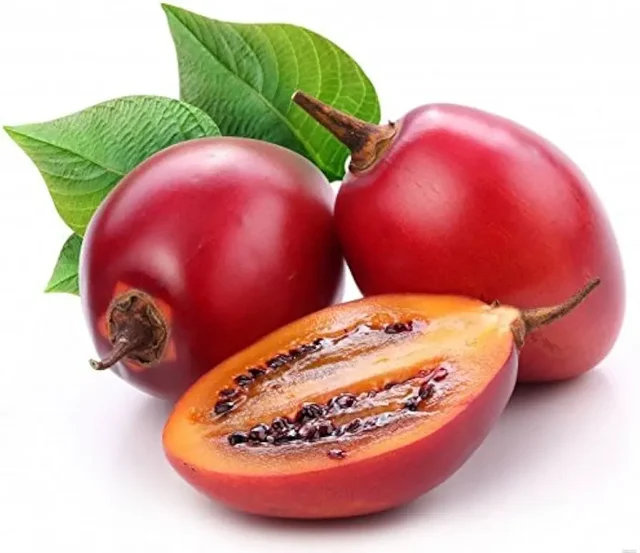 Tree Tomato