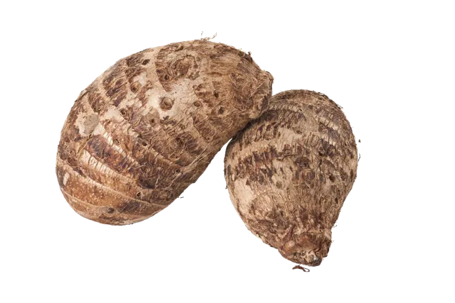 Malanga Coco