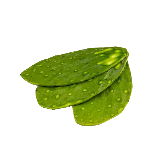 Cactus Leaves (Nopales)