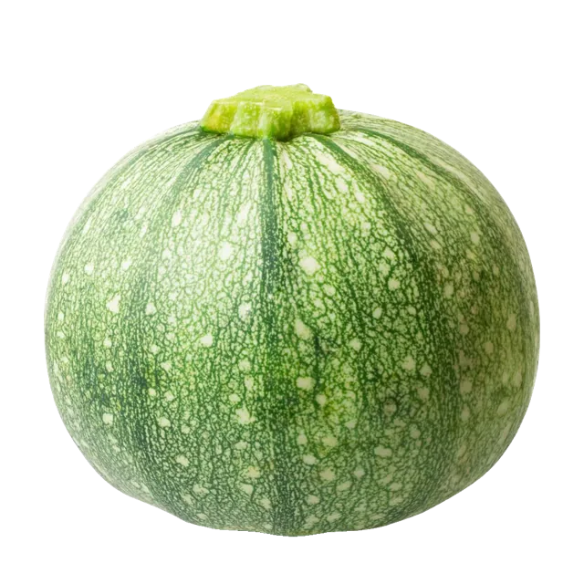 Mexican Squash