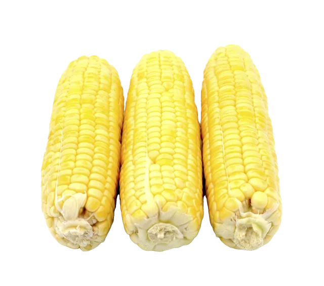 Sweet Corn, 3 ct