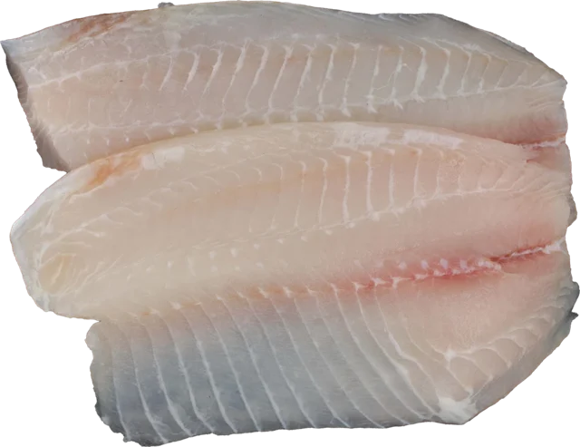 Tilapia Fillet