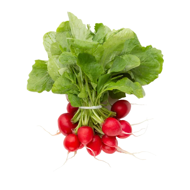 Radishes